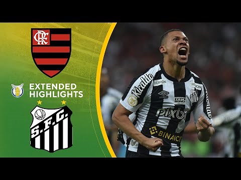 Flamengo vs. Santos: Extended Highlights | Brasileiro Série A | CBS Sports Golazo