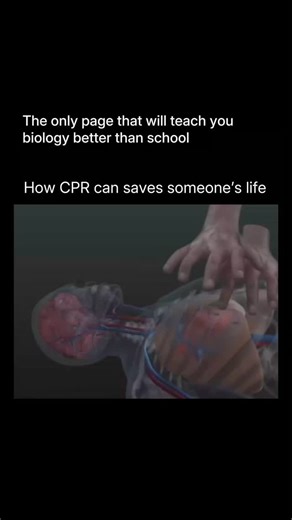 Medical Explainer on Instagram: "Cardiopulmonary resuscitation (CPR) is an emergency treatment that's done when someone's breathing or heartbeat has stopped. For example, when someone has a heart attack or nearly drowns. CPR can help save a life. The American Heart Association recommends starting CPR by pushing hard and fast on the chest. . . . . #cpr #biology #knowledge #health #instagood #exploring #foryou"