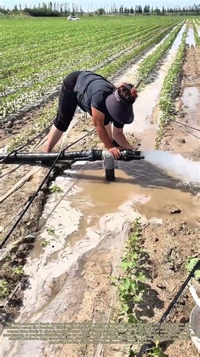 Fitting Flow Controls: How Farmers Install Stop Valves On Drip Irrigation Lines