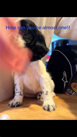 Kim Newton on TikTok