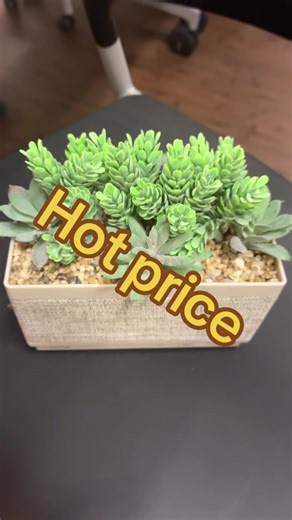 Smarter décor vibes 🌿✨ This iHome succulent speaker fills the room with calm greenery and crystal-clear sound — the cutest way to upgrade any desk or nightstand. Price and shipping subject to change. #TikTokShopCyberMonday #TikTokShopBlackFriday #HomeAesthetic #DeskEssentials #ViralFinds