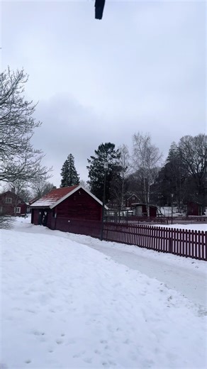 How to reply disrespect? #pakistani #indian #selfrespect #sweden #depression