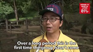 2.9K views · 59 reactions | A monkey park in southwest Japan faces a serious problem—its monkeys have disappeared. | Nippon TV News24 Japan | Facebook