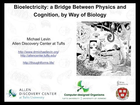 "Bioelectricity: a bridge between physics and cognition, by way of biology" by Michael Levin