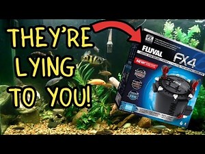 I waited 6 months to clean this filter! #fishtank #aquarium #fluval #fish