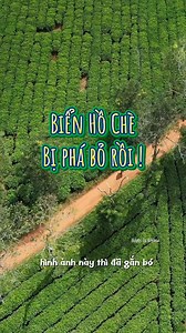 Biển Hồ Chè bị phá bỏ, khi bài toán kinh tế khó giải hơn? #huyềntỷreview #gialai | Gia Lai Ơi