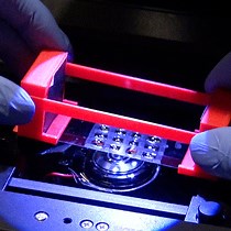 Video: An Optimized Single-Molecule Pull-Down Assay for Quantification of Protein Phosphorylation