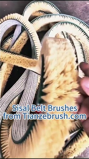 Flat Belt Brushes: Everything you need to know for conveyor brushes. #industrialbrush #factory