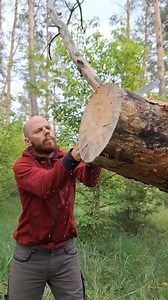 194K views · 758 reactions | Survival Skills #forest #campinglife #tips #outdoors #survival #skills #candles #camping #fire #trap | Trap Three | Facebook
