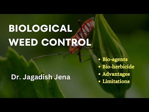 Biological method of weed control | Bio-agent and bio herbicide approach of weed control
