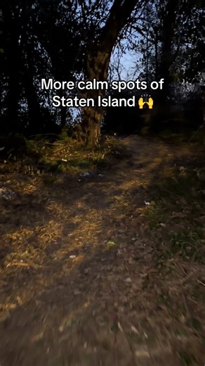 Discover the Hidden Beauty of Staten Island