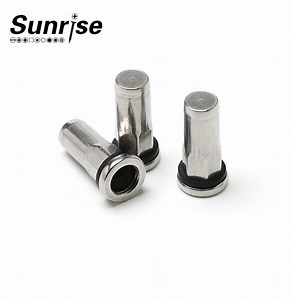 [Hot Item] Rivet Insert Nut Semi-Hex Rivet Insert Rivet Nuts