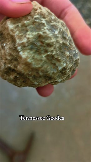 Im going to have to order a bucket of geodes from you! @tales.of.a.tn.rockhound #heylookatmycoolrock #Michigan #Tennessee #geode #geodes