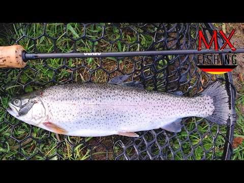 Forellenteich Gründau/ Forellen fischen mit Kunstködern/ Trout Area