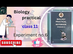 Experiment No. 6 | Biology Practical Book Solutions| Class 11 #class11