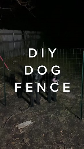 TikTok - Make Your Day