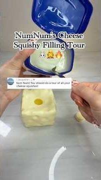 10 Cheese Squishy Fillings + Results! 🧀