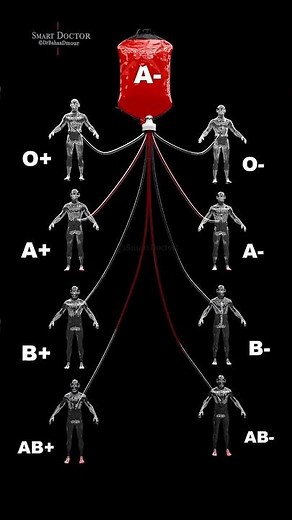Who Can Your Blood Save? | The Blood Type Everyone Wants 🩸