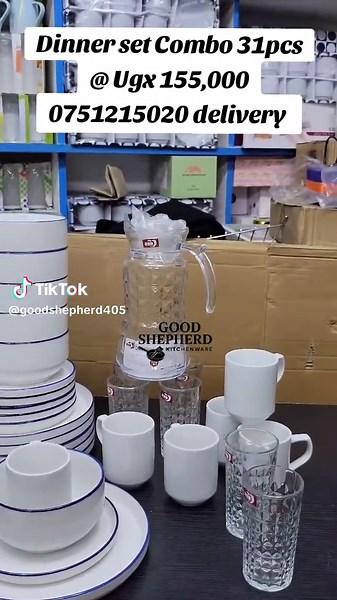 Affordable 31-Piece Dinner Set Combo for Your Kitchen