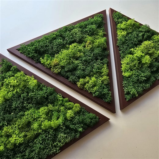 Geometric Moss Wall Art - Triangle Scandinavian Reindeer Moss Set - Etsy Canada