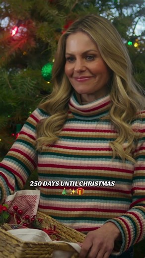 The countdown is on—250 days until Christmas!🎄