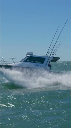 Yamaha Twin F200 on the Surtees 800 Game Fisher