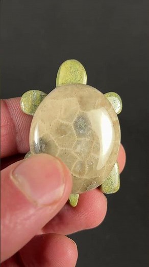 Pyrite in Petoskey Stone Turtle Shell