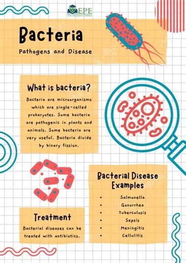 Bacteria Pathogens and Diseases