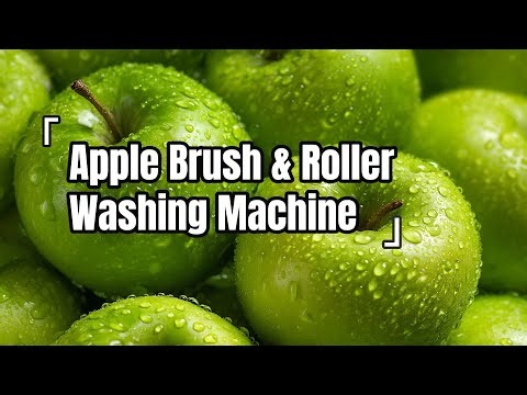 See How Industrial Apple Pear Peach Washing Machine Work