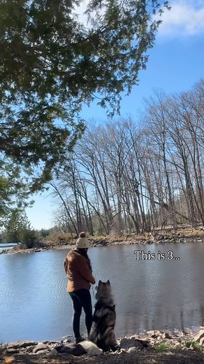 Aspen Hunter | This is 3! We had a crazy year full of adventures, accomplishments and mostly importantly bonding and love. We earned our Advanced Barn... | Instagram