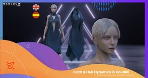 CLOTH AND HAIR DYNAMICS