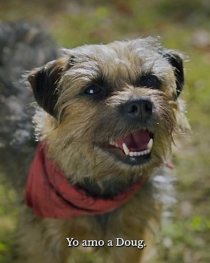 Royal Films on Reels