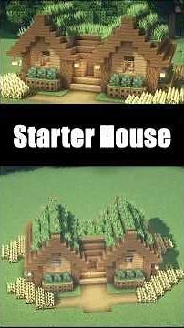 Minecraft Starter House