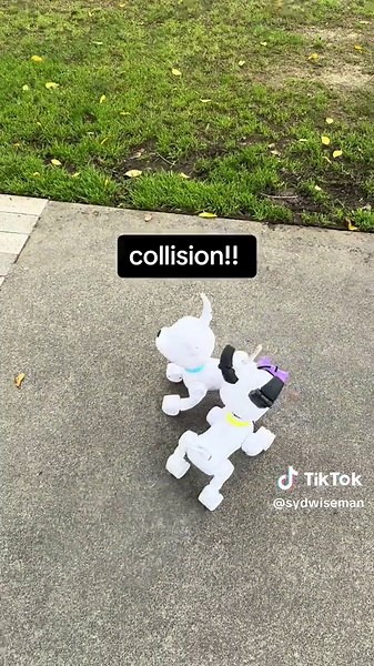 start your Dog-E engines 🏁 #robotdog #doge #toymaker #kidstoys #mariokart #funny