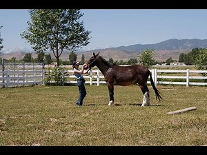 LTR Training Tip #28: How to Square Up