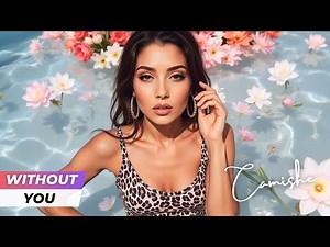 Without You (Melodic Techno Remix) | Remixes Of Popular Songs