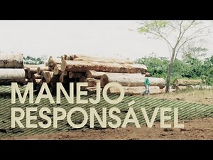 Procure o Selo FSC®!