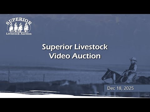 Superior Livestock Auction - 12/18/2025