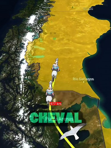 Plus longue distance parcourue par un cheval : 30 000 km à travers les Amériques