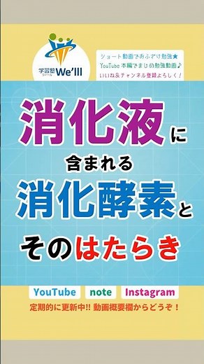 【中２：理科】消化酵素とそのはたらき