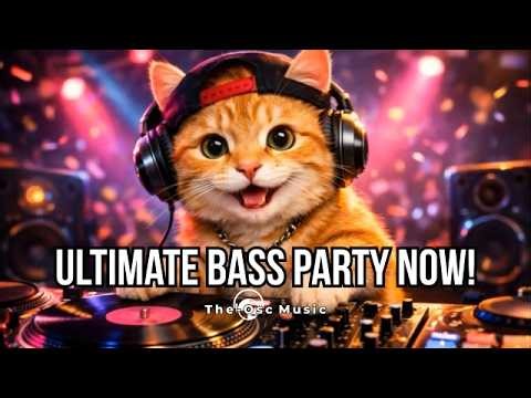 DJ Cat Drops the HARDDEST Dubstep Beat Ever | Festival Destroyer Bass Boosted 🎧