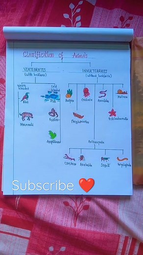 Classification of animals..