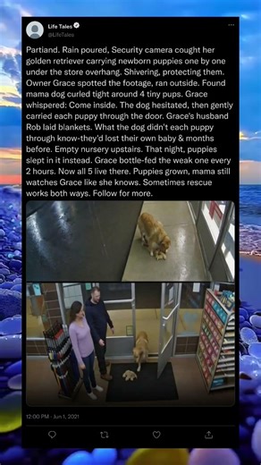 The Family That Found Itself ❤️🏡 A Story of Love and Reunion #shorts #family #emotional