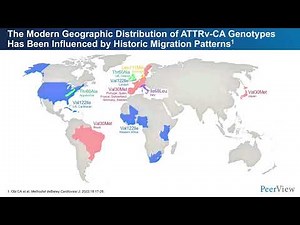 Targeted Treatments for Transthyretin Amyloidosis: Essential Insights for Neurologists