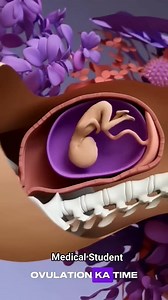 1M views · 6.5K reactions | Medical Student #pregnancy #pregnant #science #education #fbpost2024 #studentlife #LikeAndShare #medicalstudent #ivfsuccess #ivflife #ivfmama #ivfstrongertogether | Medical Student | Facebook