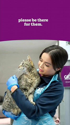 So many cats are vulnerable and all alone right now. But there's still time to give them the care and love they need. | Cats Protection