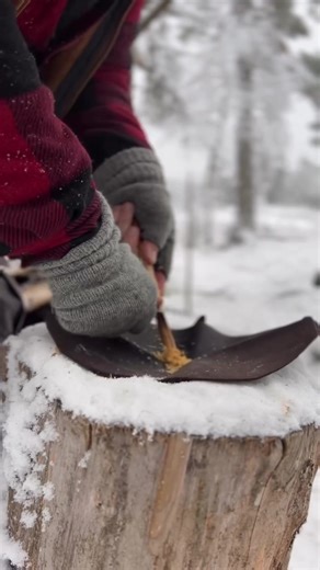 Essential Tips for Bushcraft Camping in the Nordic Forests