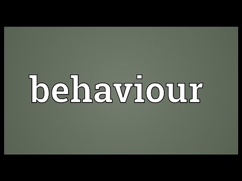 Behaviour Meaning