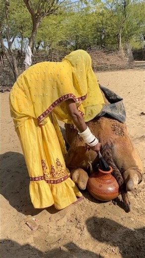 قصة كفاح بين الرمال