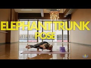 Elephant Trunk + Eight Angle Arm Balance Tutorial with Jessie